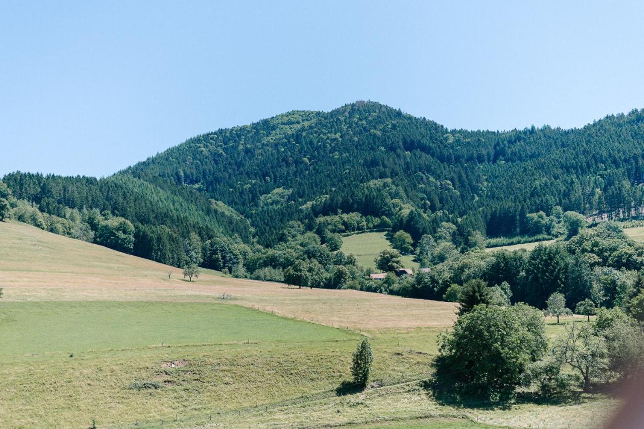 Moderne 2 Zi.-Fewo Blackforest Art Barrierefrei Naehe Freiburg Зімонсвальд Екстер'єр фото